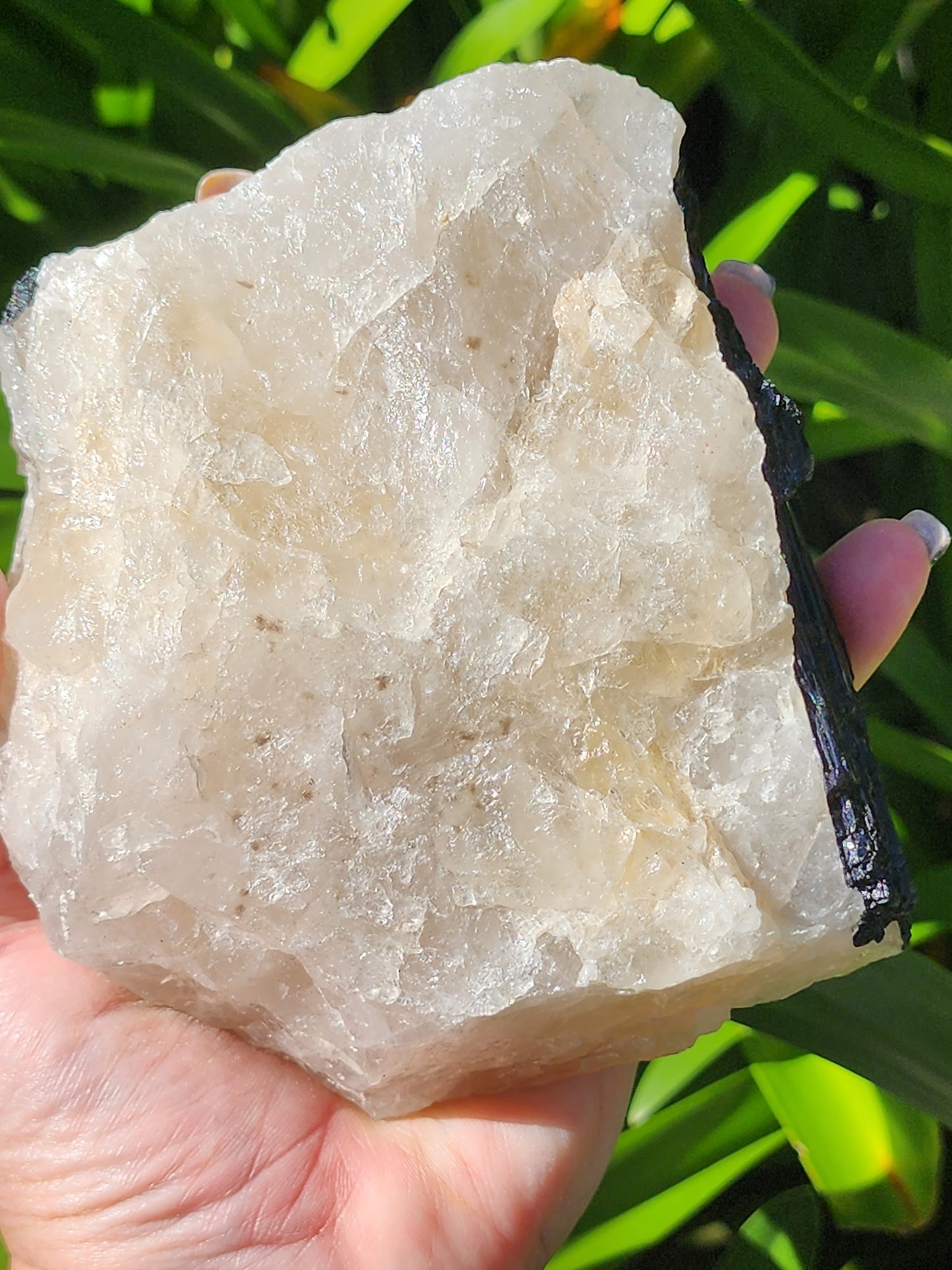 Quartz with Tourmaline Rough Piece C