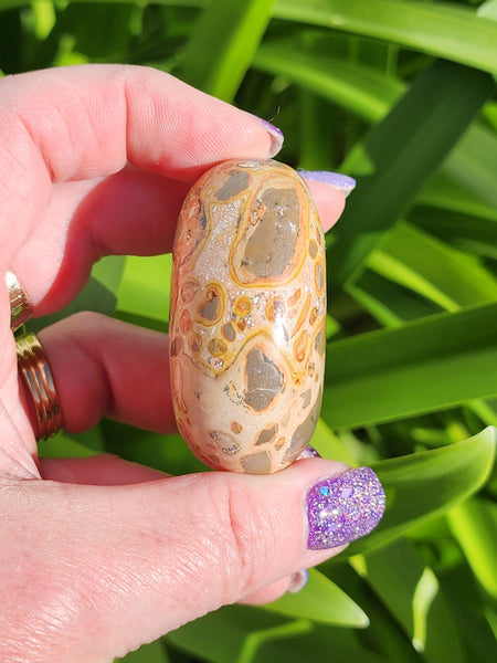Leopardskin Jasper Palm Stone C