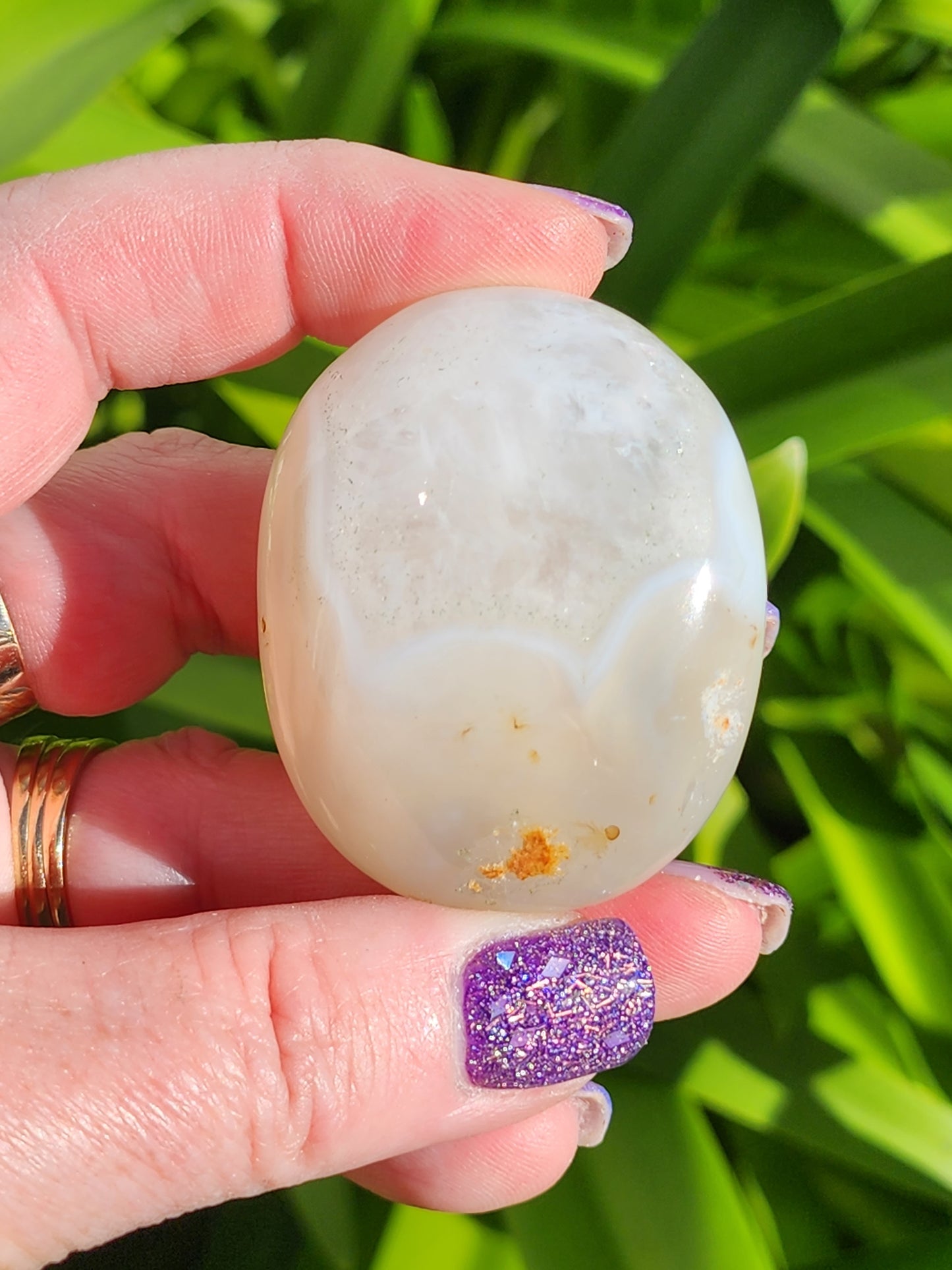 Agate Palm Stone C