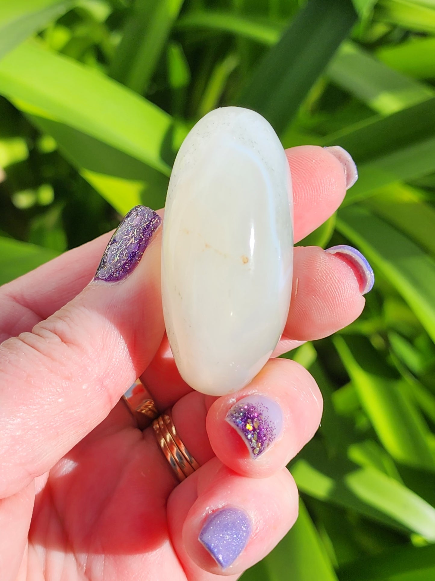 Agate Palm Stone C