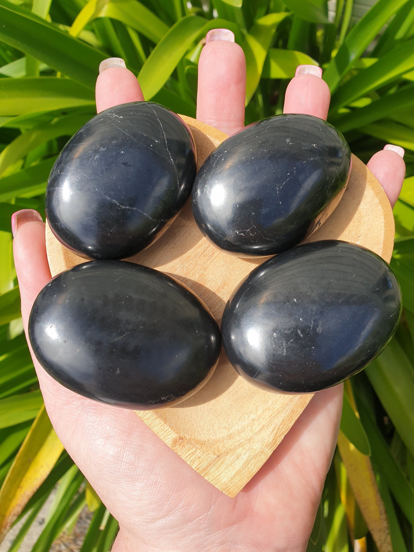 Shungite Palm Stone Medium