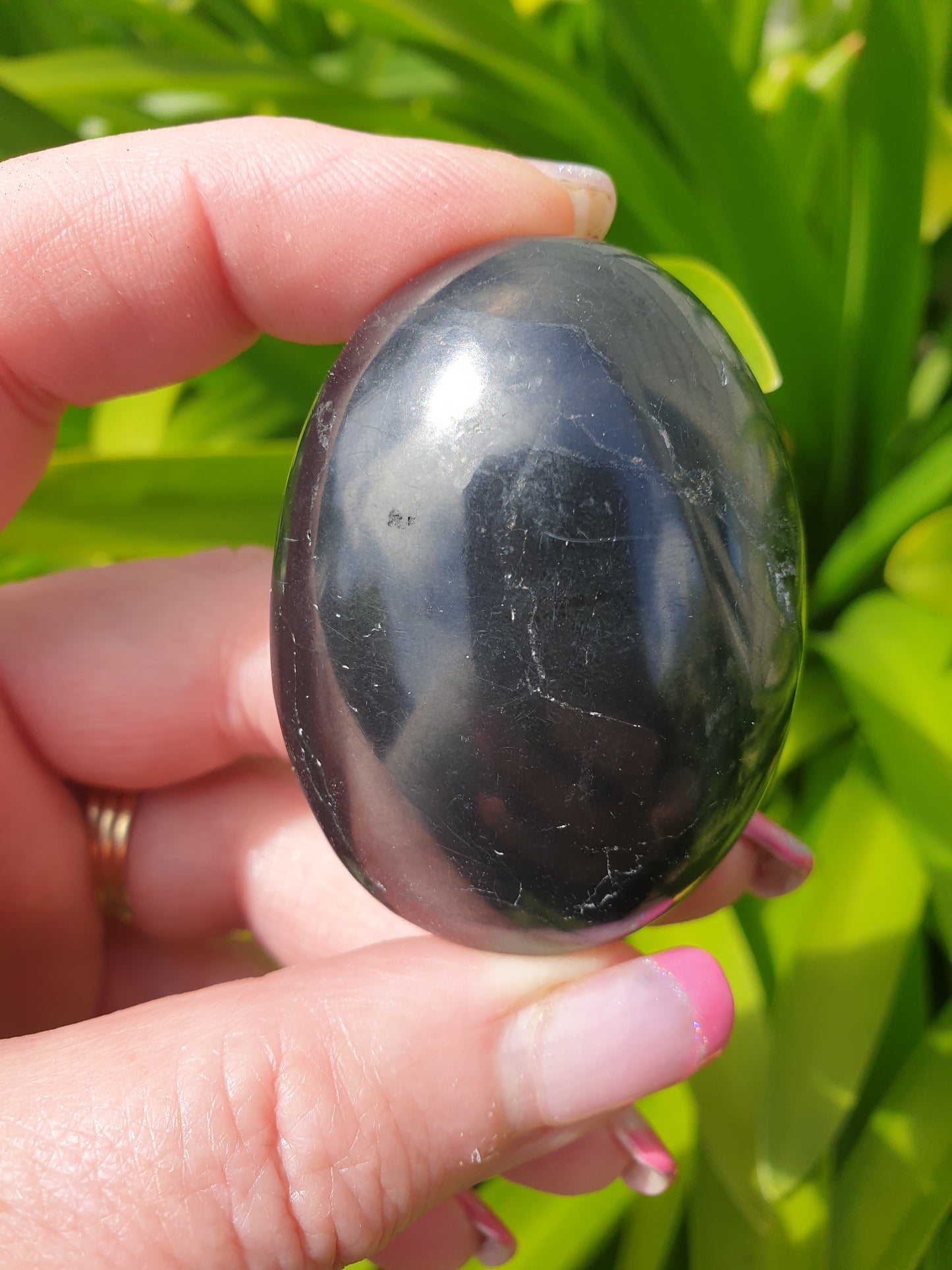 Shungite Palm Stone Medium