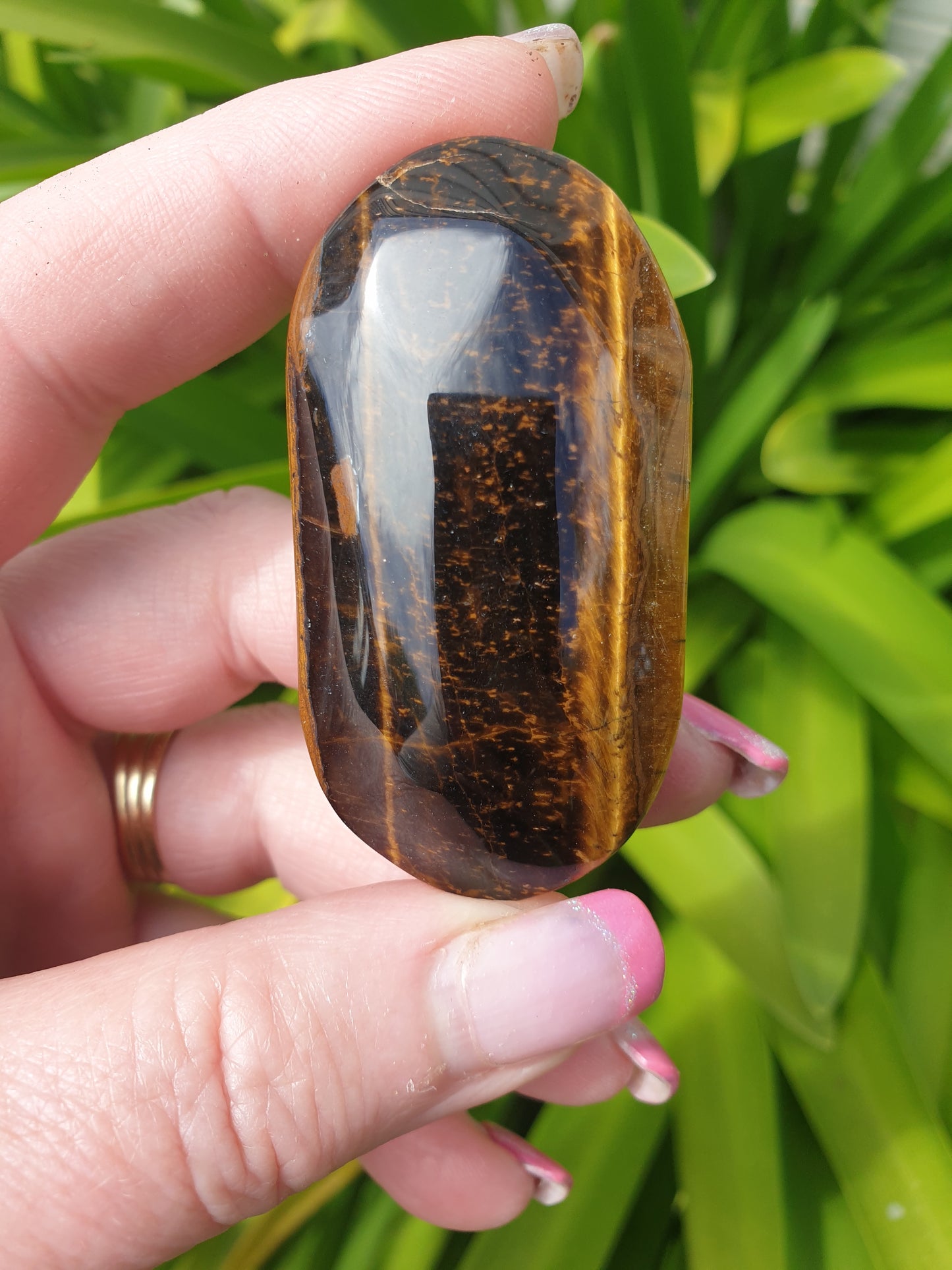 Tigers Eye Palm Stone