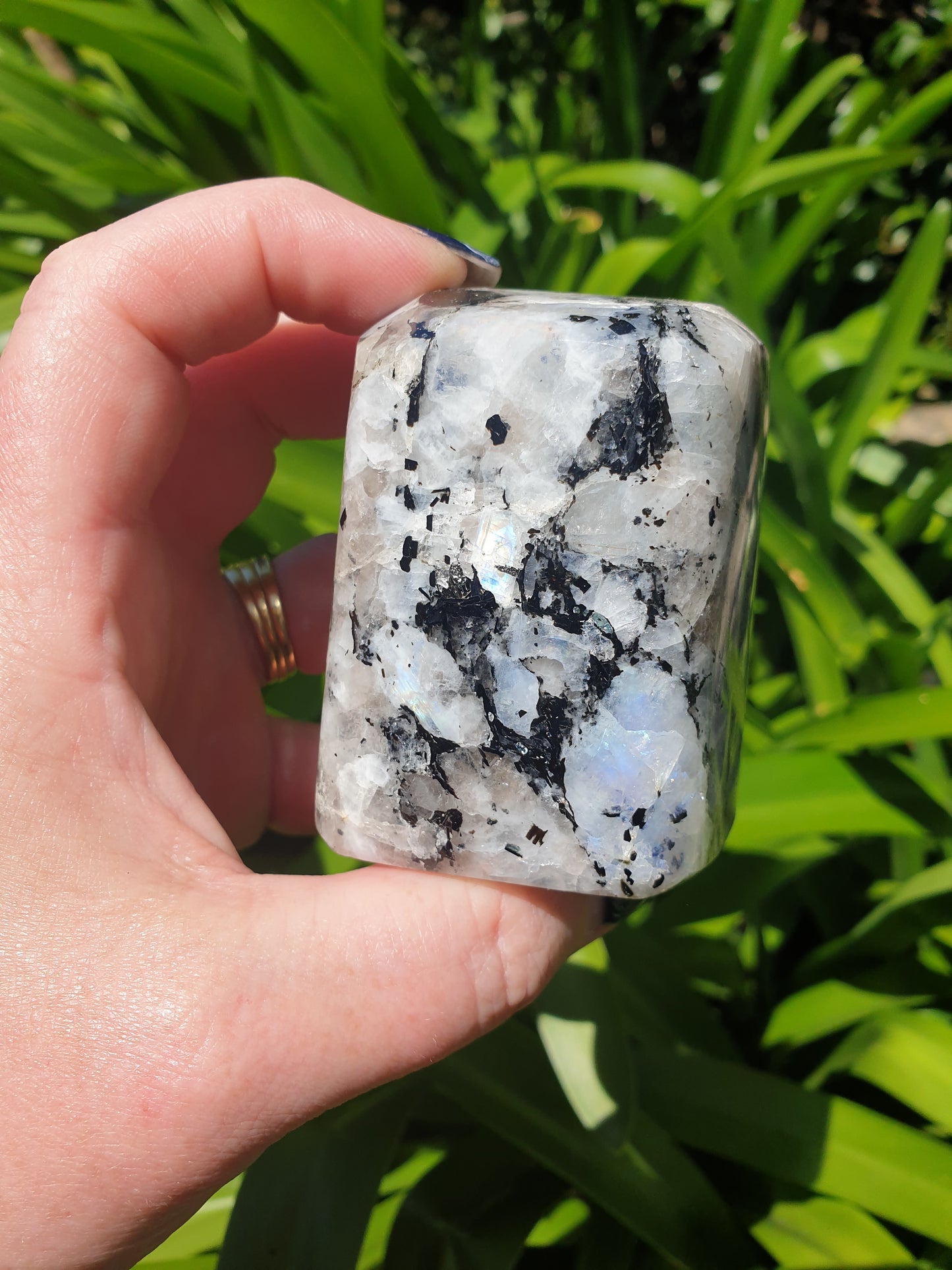 Rainbow Moonstone Free Form