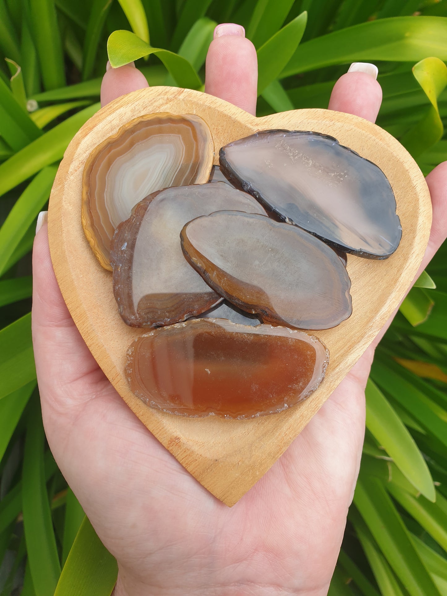 Agate Slice Brown | Small