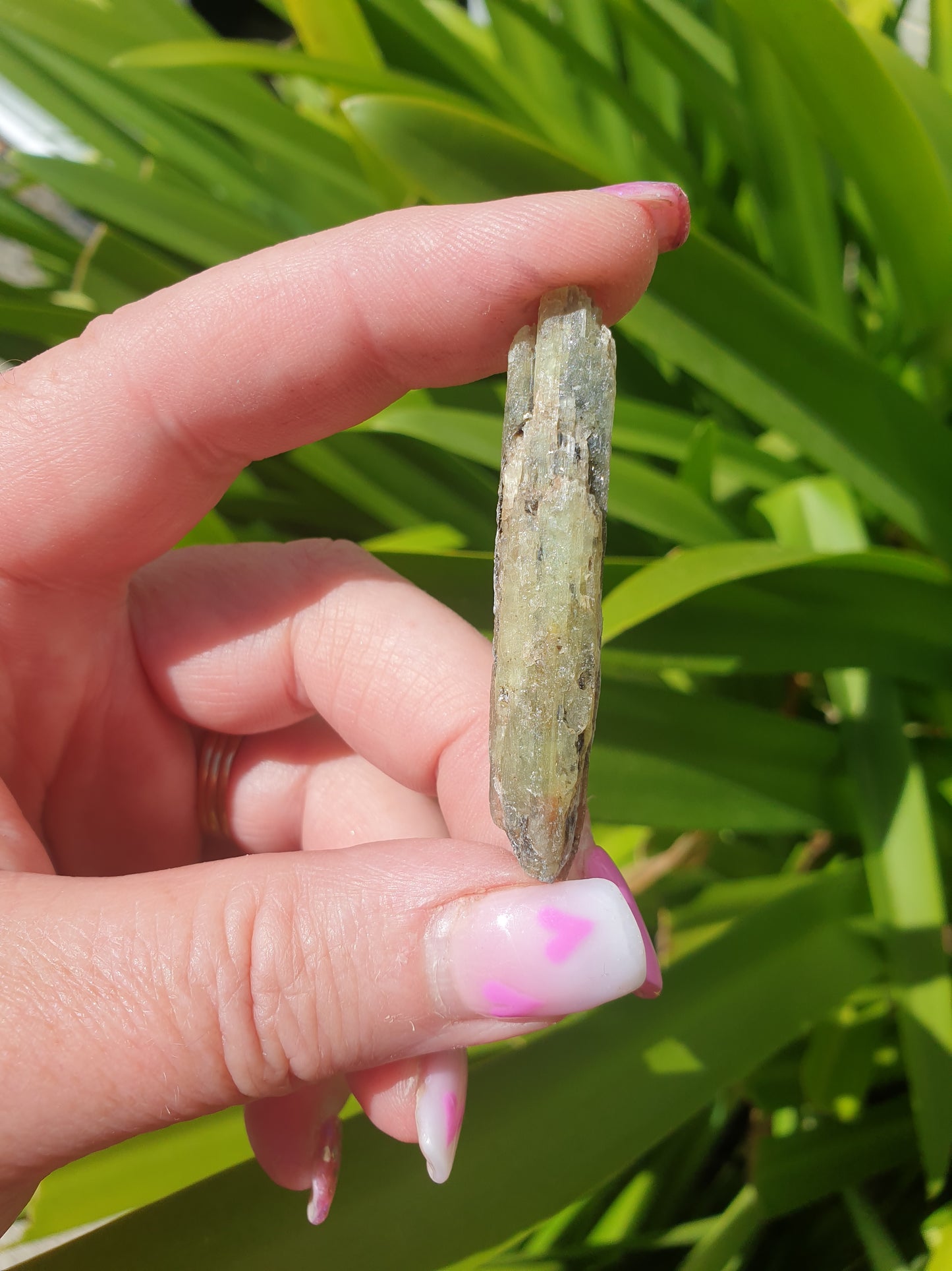 Green Kyanite Rough Blades