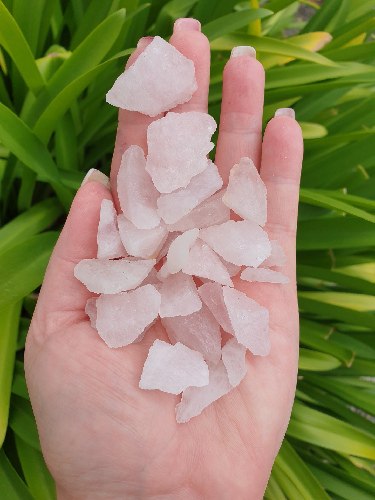 Rose Quartz 100gm Pack of Rough Crystals $7 Valued at $10