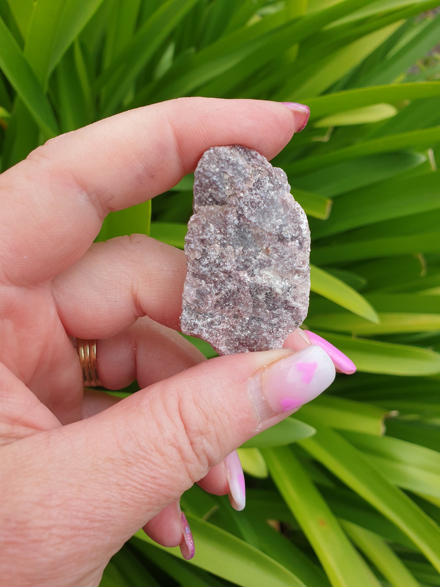 Lepidolite Bulk Pack of 10 Rough Crystals Valued at $30