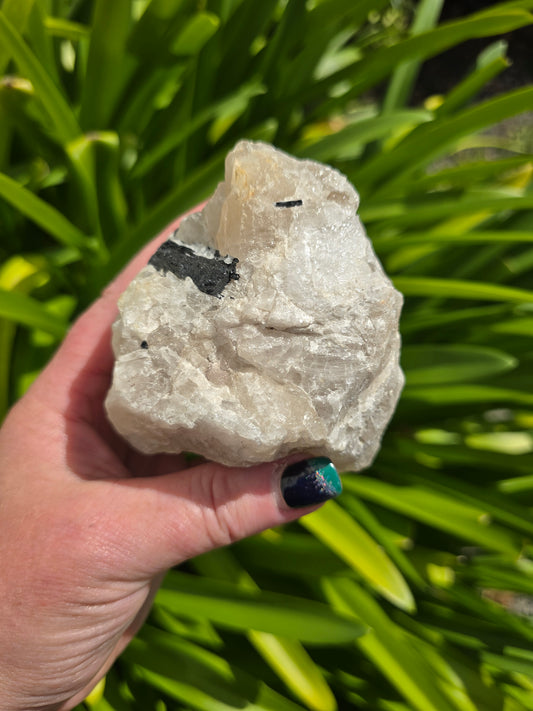 Black Tourmaline & Quartz Rough Piece F