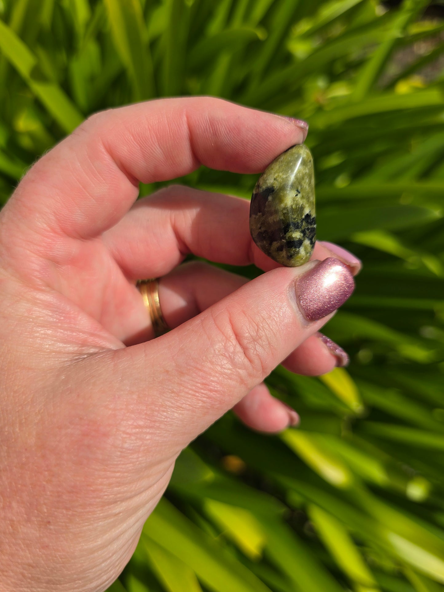 Serpentine Tumbled Stone Small