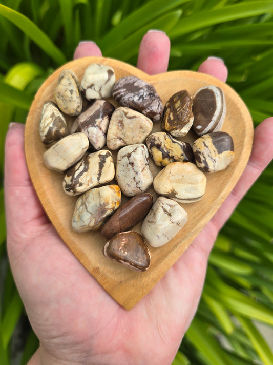 Zebra Jasper Tumbled Stone