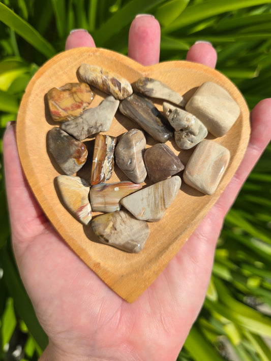 Petrified Wood Tumbled Stone