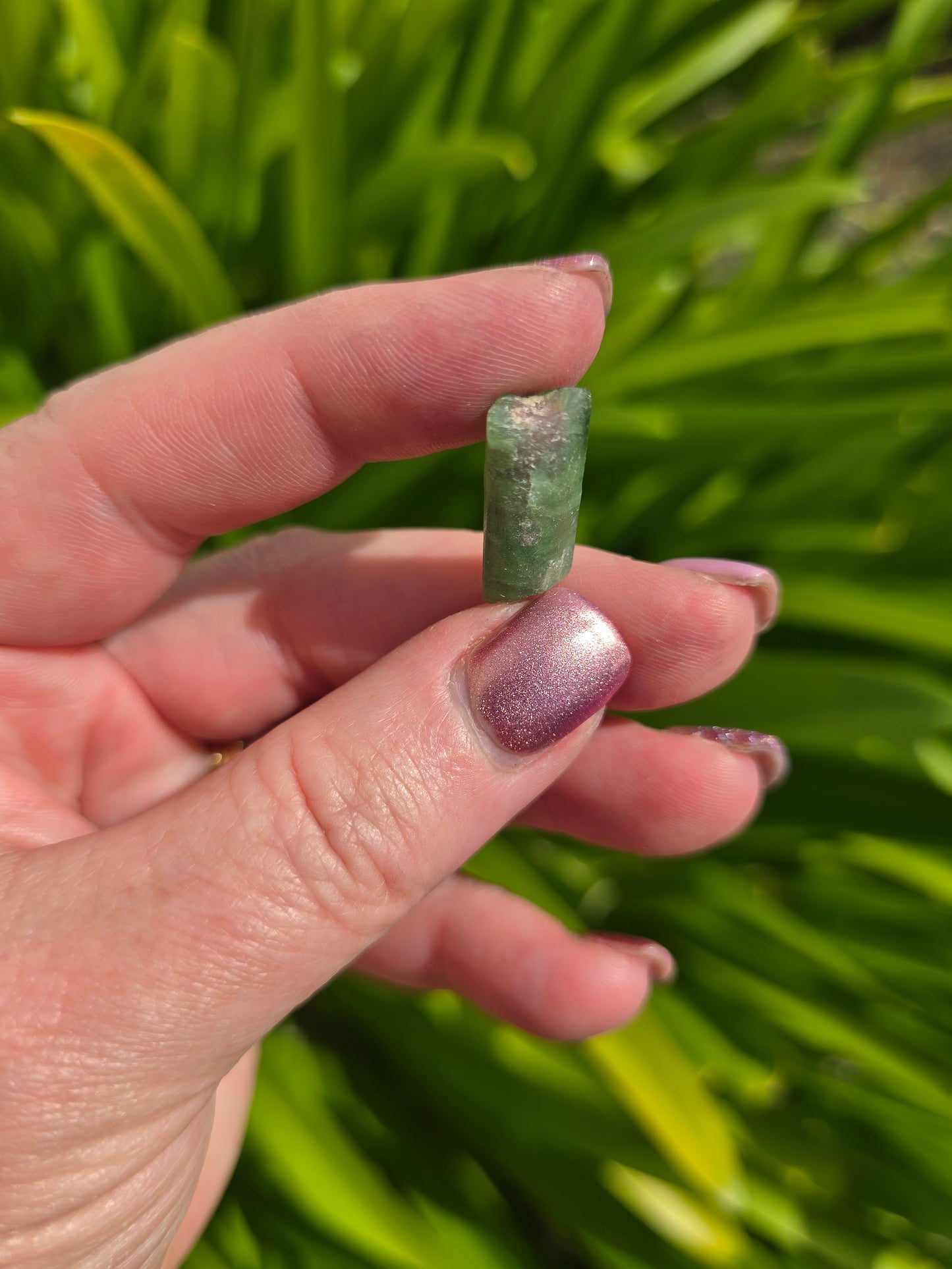 Watermelon Tourmaline Rough Piece