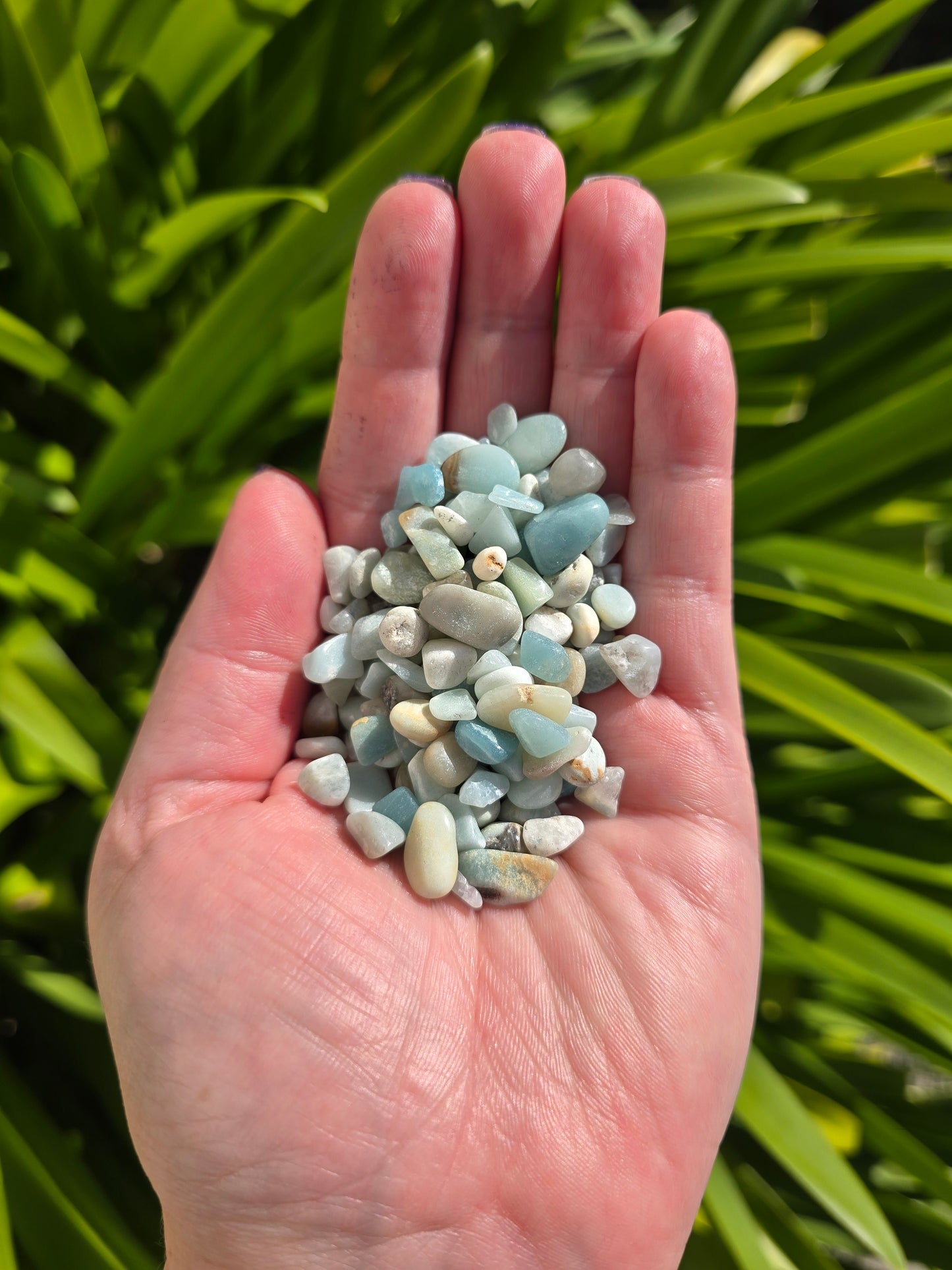 Amazonite Crystal Chip 100 gms Bag