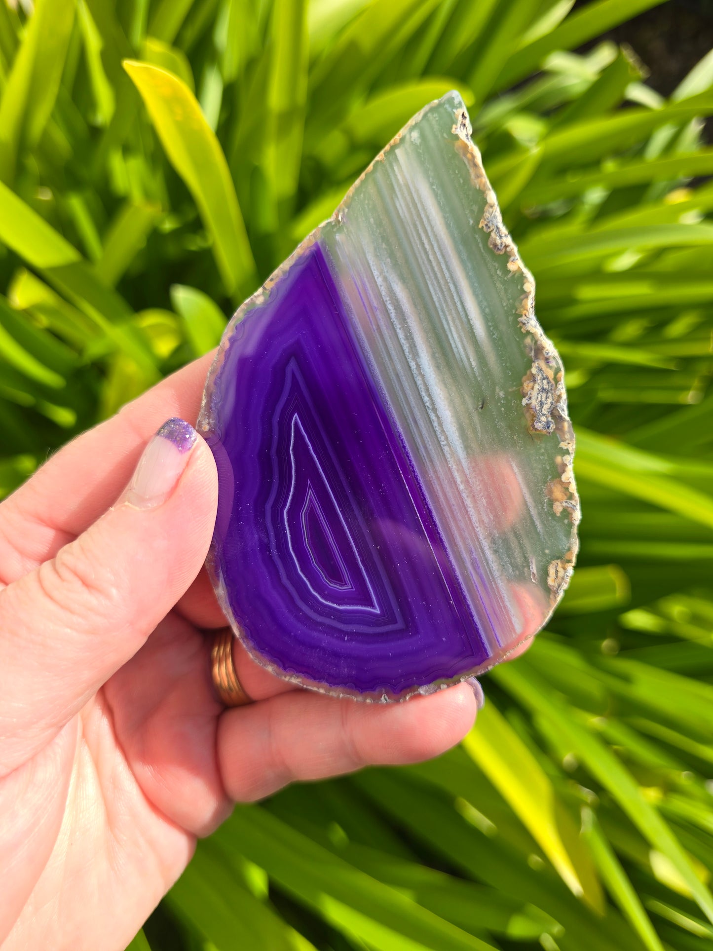 Agate Slice | Purple C