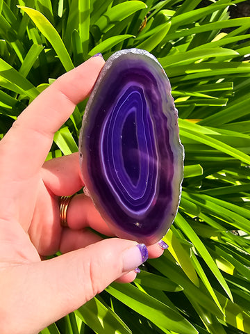 Agate Slice | Purple A