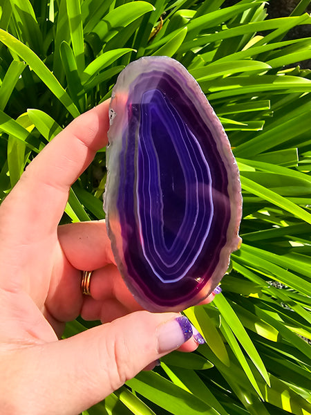 Agate Slice | Purple A