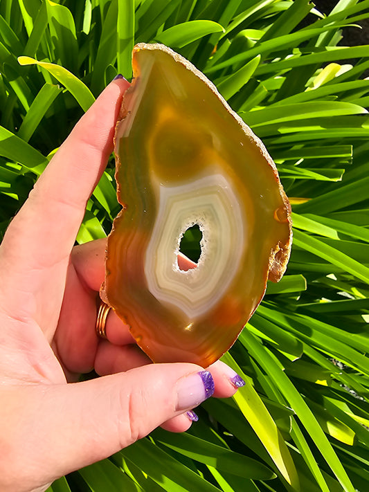 Agate Slice | Brown G