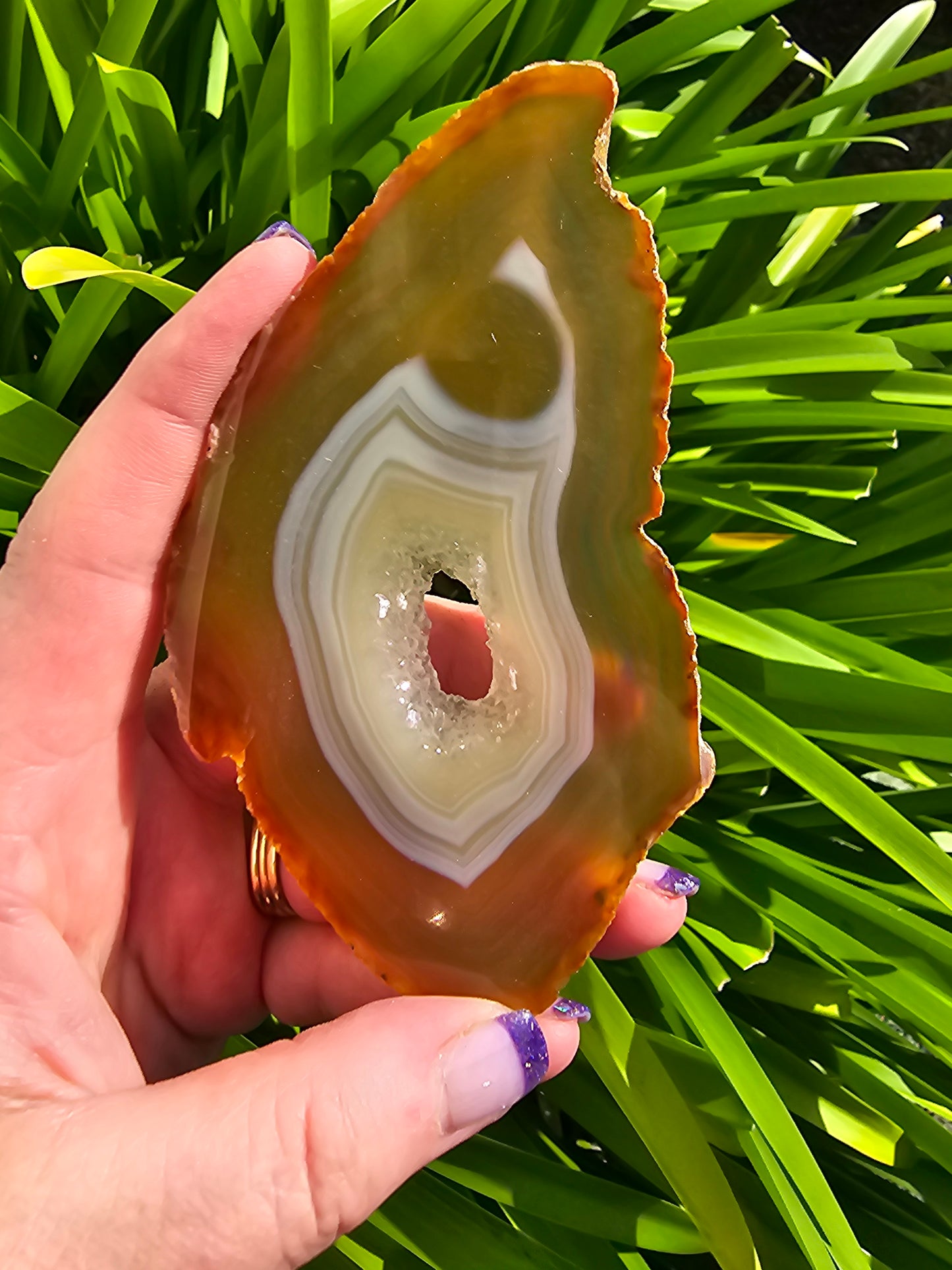 Agate Slice | Brown G