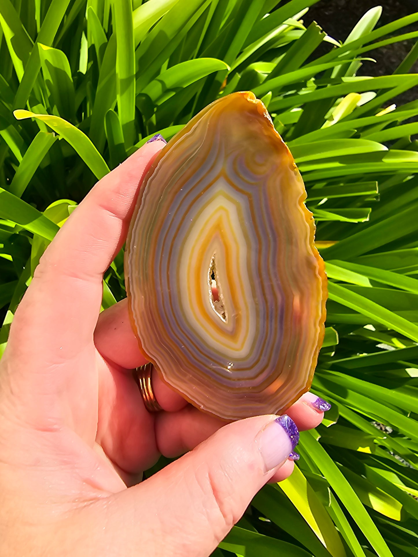 Agate Slice | Brown D