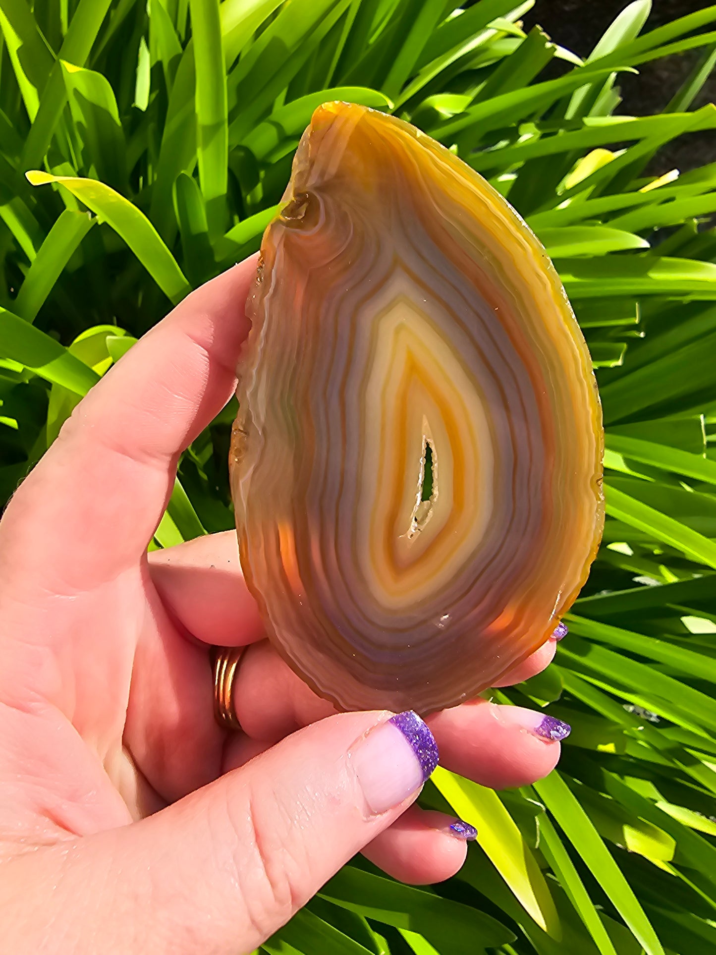 Agate Slice | Brown D