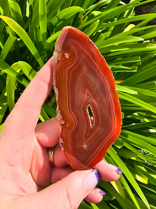 Agate Slice | Orange G