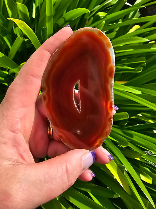 Agate Slice | Orange D