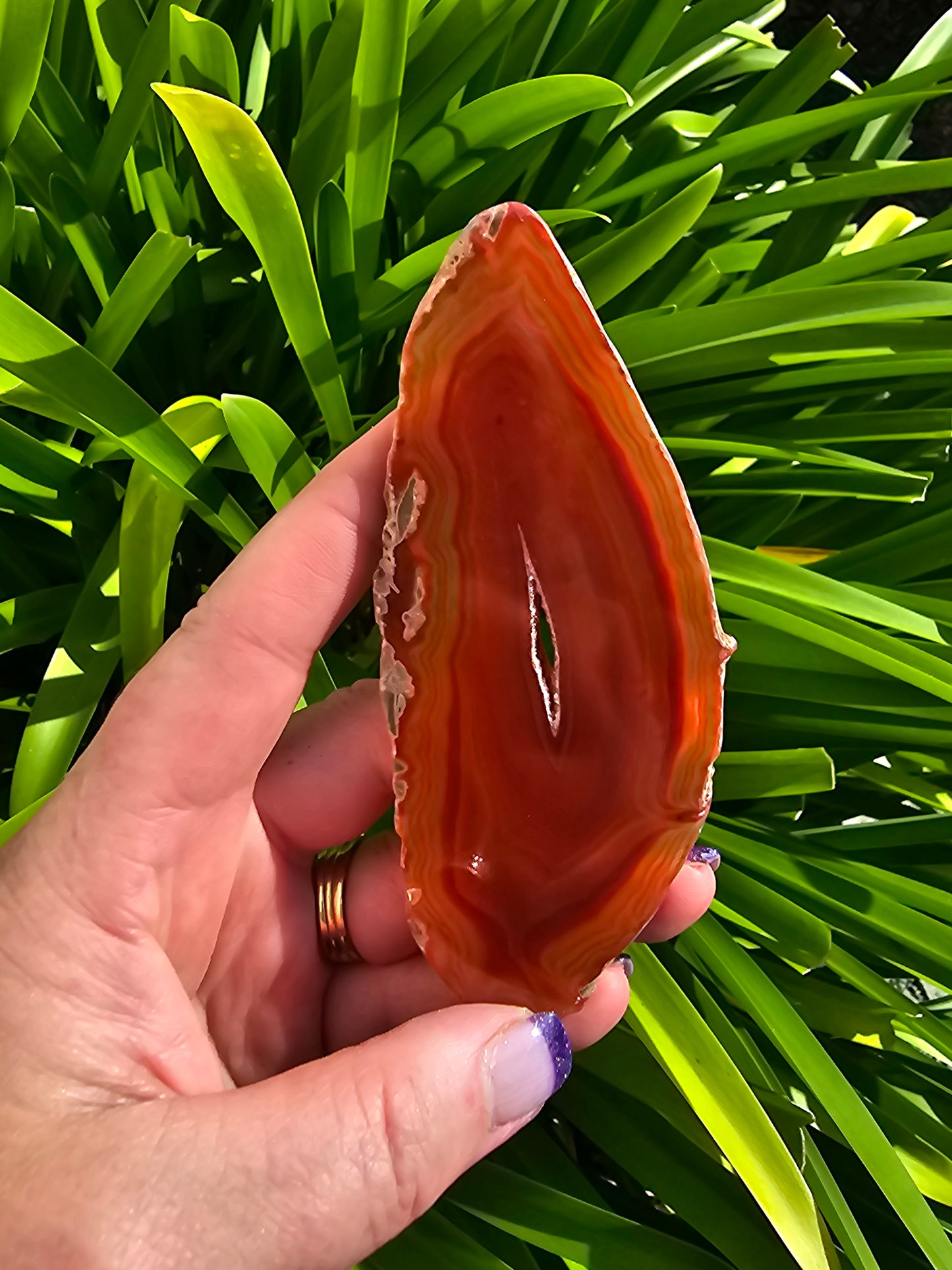 Agate Slice | Orange A