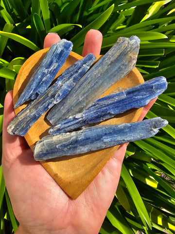 Blue Kyanite Medium Rough Blade