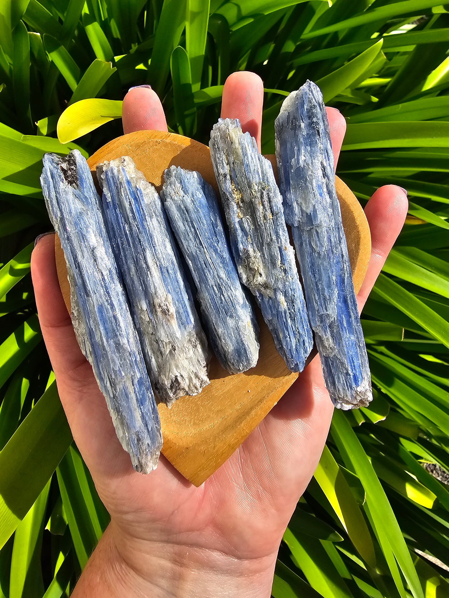 Blue Kyanite Large Rough Blade