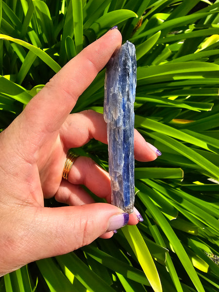 Blue Kyanite Large Rough Blade