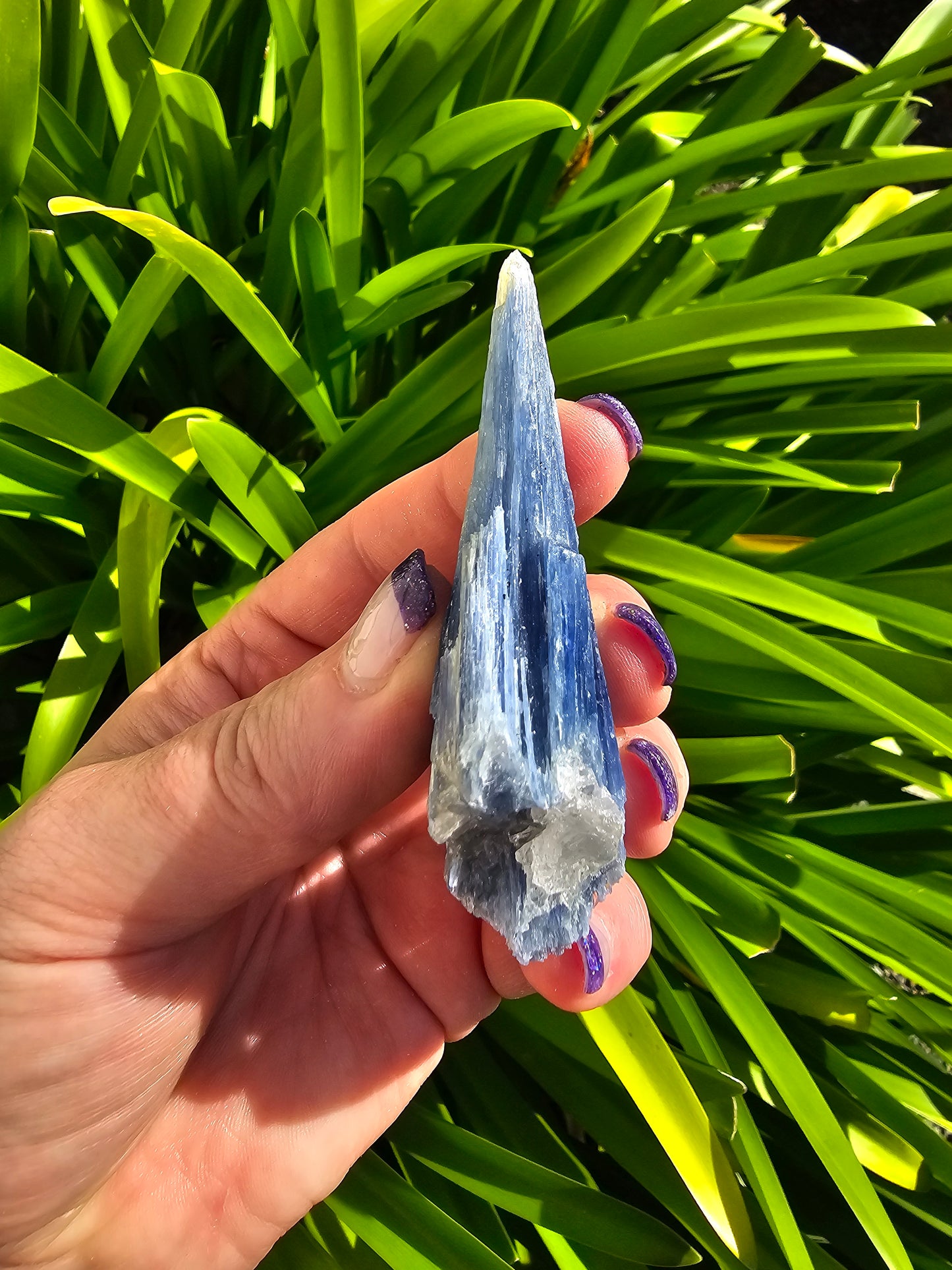 Blue Kyanite Rough Blade B