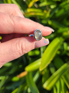 Labradorite | Polished Sterling Silver Adjustable Ring E