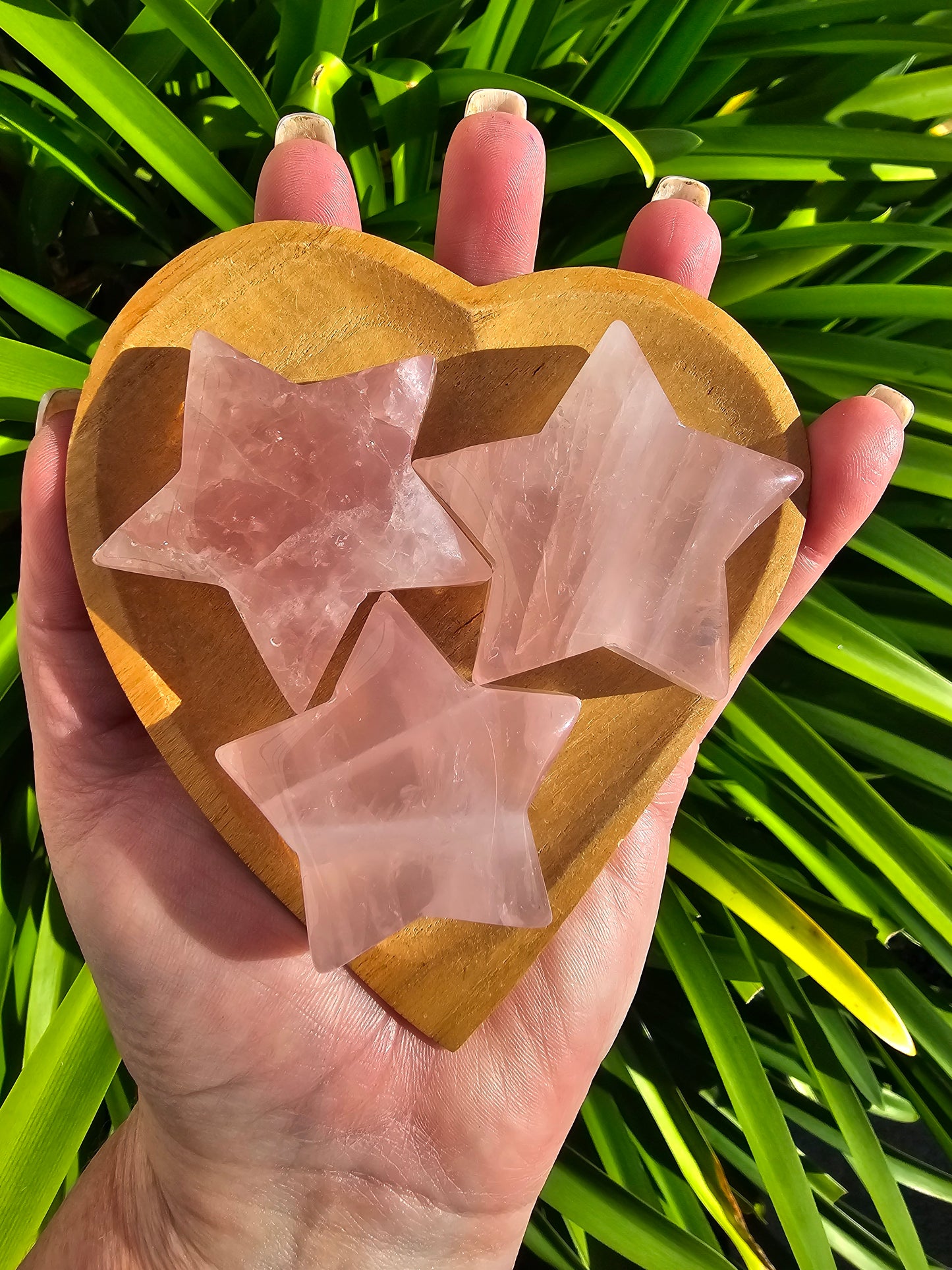 Rose Quartz Star Medium