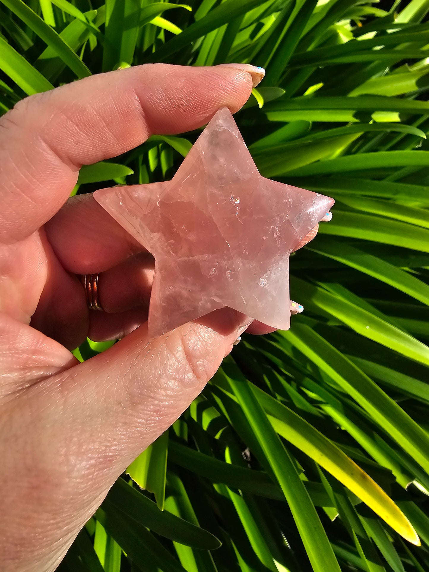 Rose Quartz Star Medium