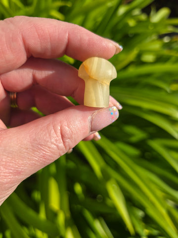 Banded Calcite Mini Mushroom