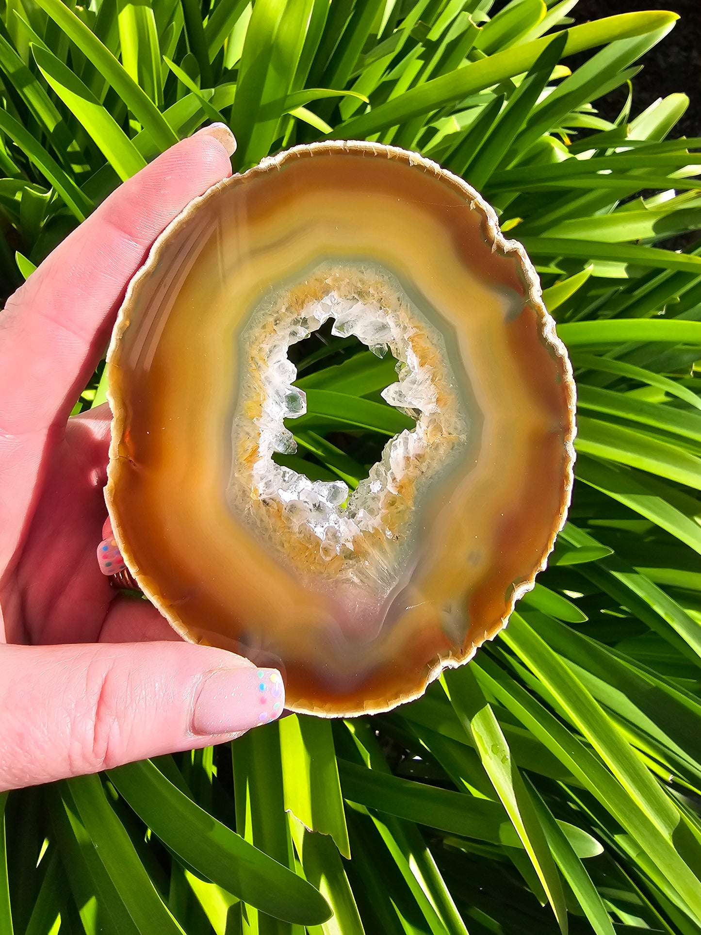 Agate Slice | Large Brown C