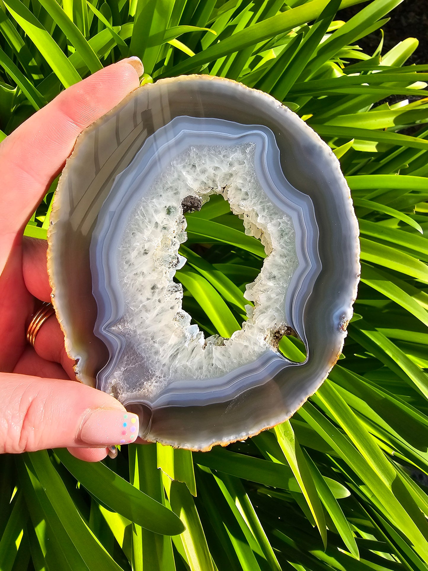 Agate Slice | Large Natural H