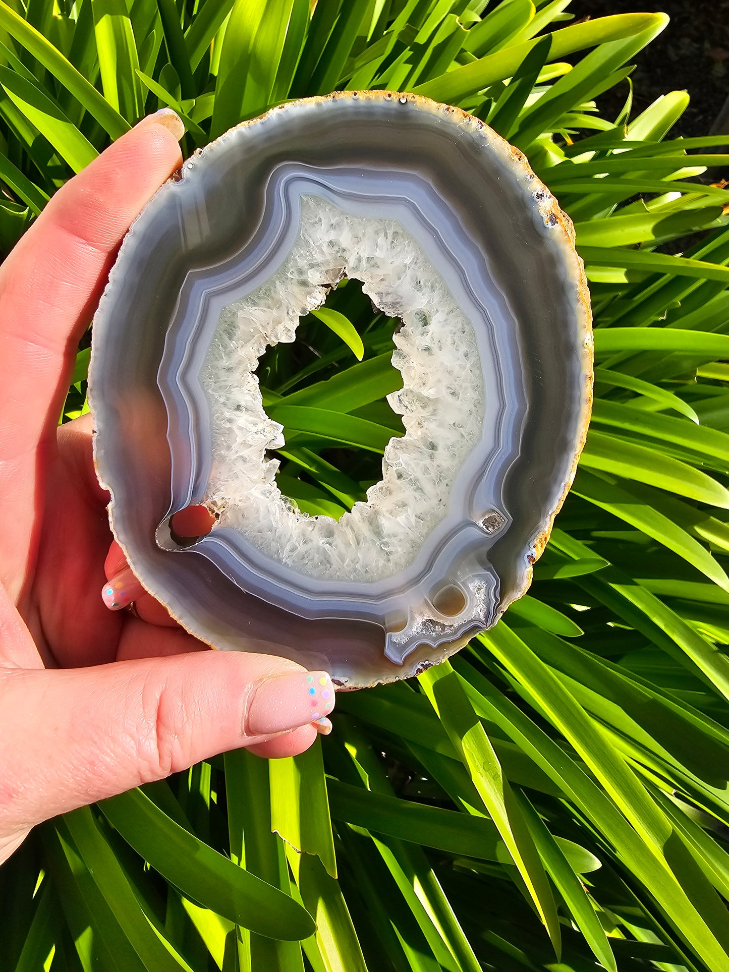 Agate Slice | Large Natural H