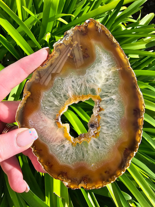 Agate Slice | Large Brown L