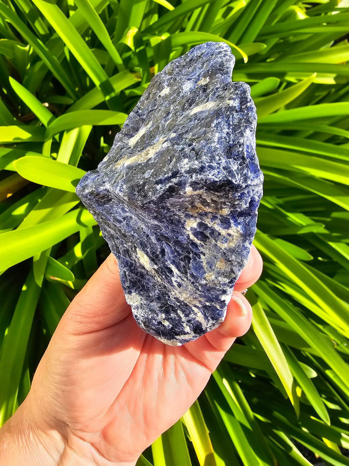 Sodalite Rough Piece B