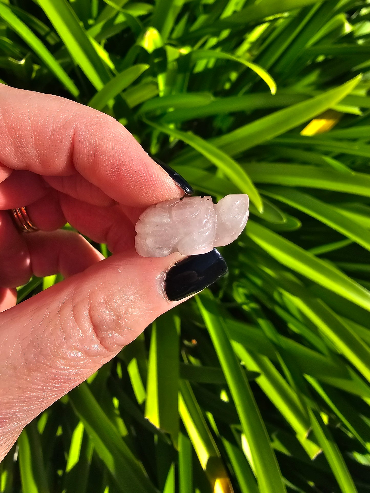 Rose Quartz Mini Land Turtle