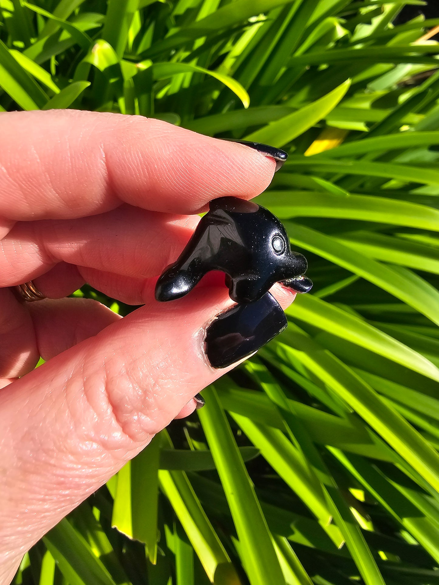 Black Obsidian Mini Dolphin