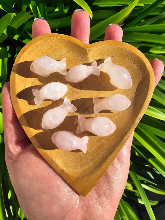 Rose Quartz Mini Dolphin