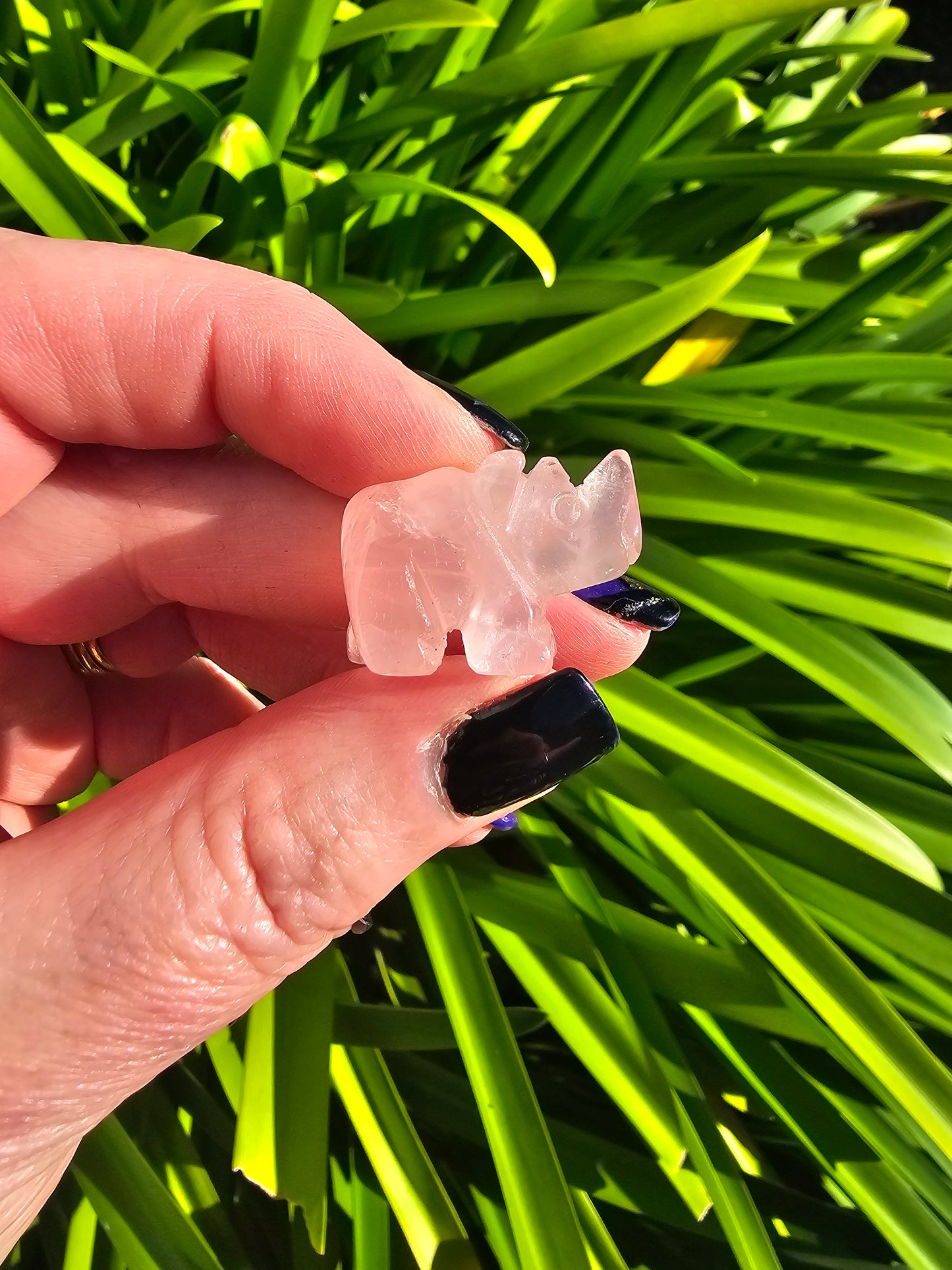 Rose Quartz Mini Rhino