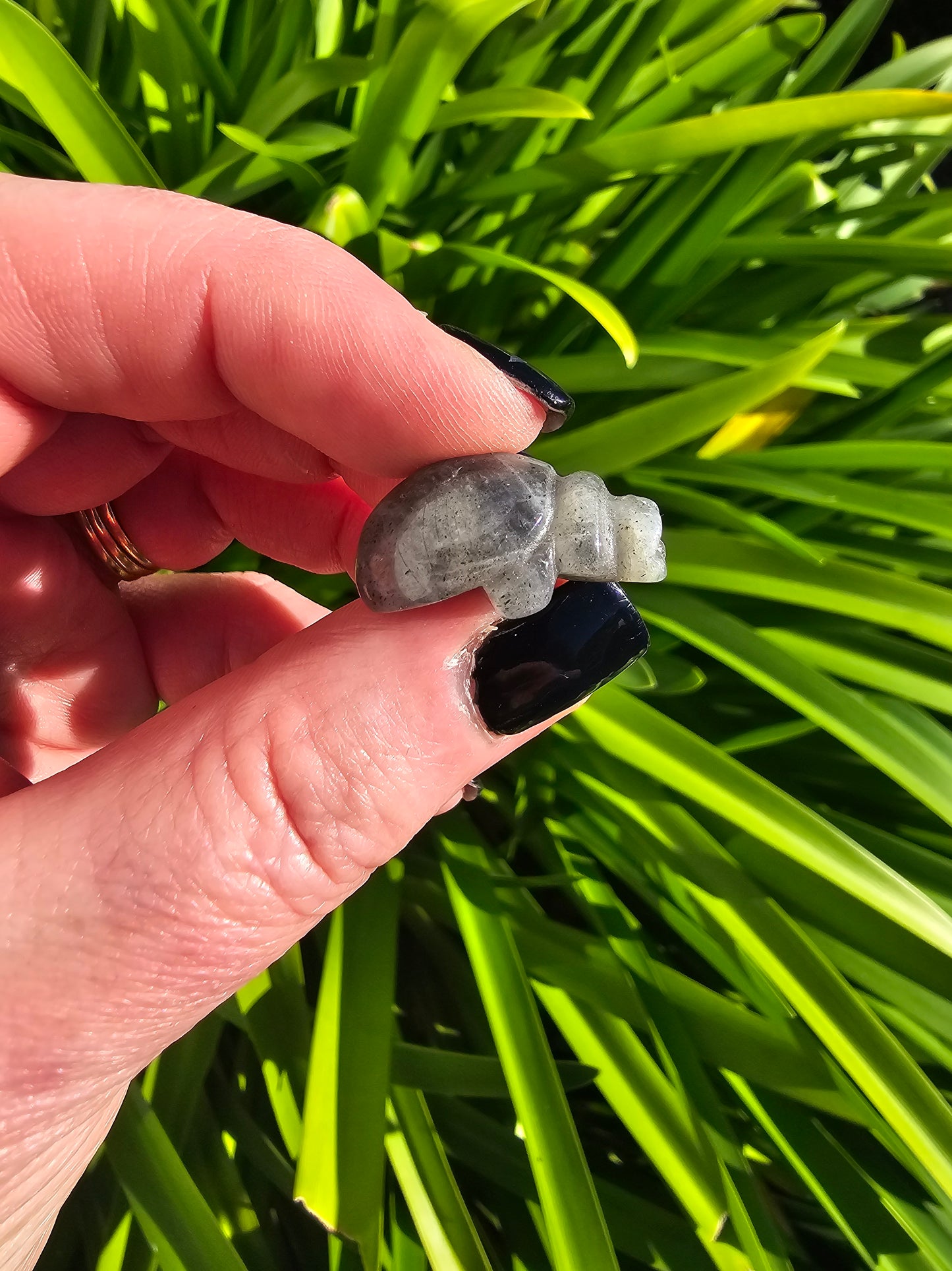 Labradorite Mini Beetle