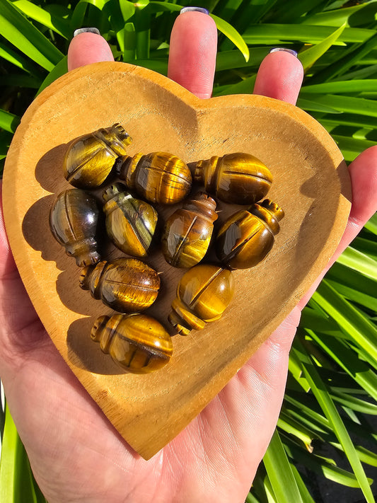 Tigers Eye Mini Beetle