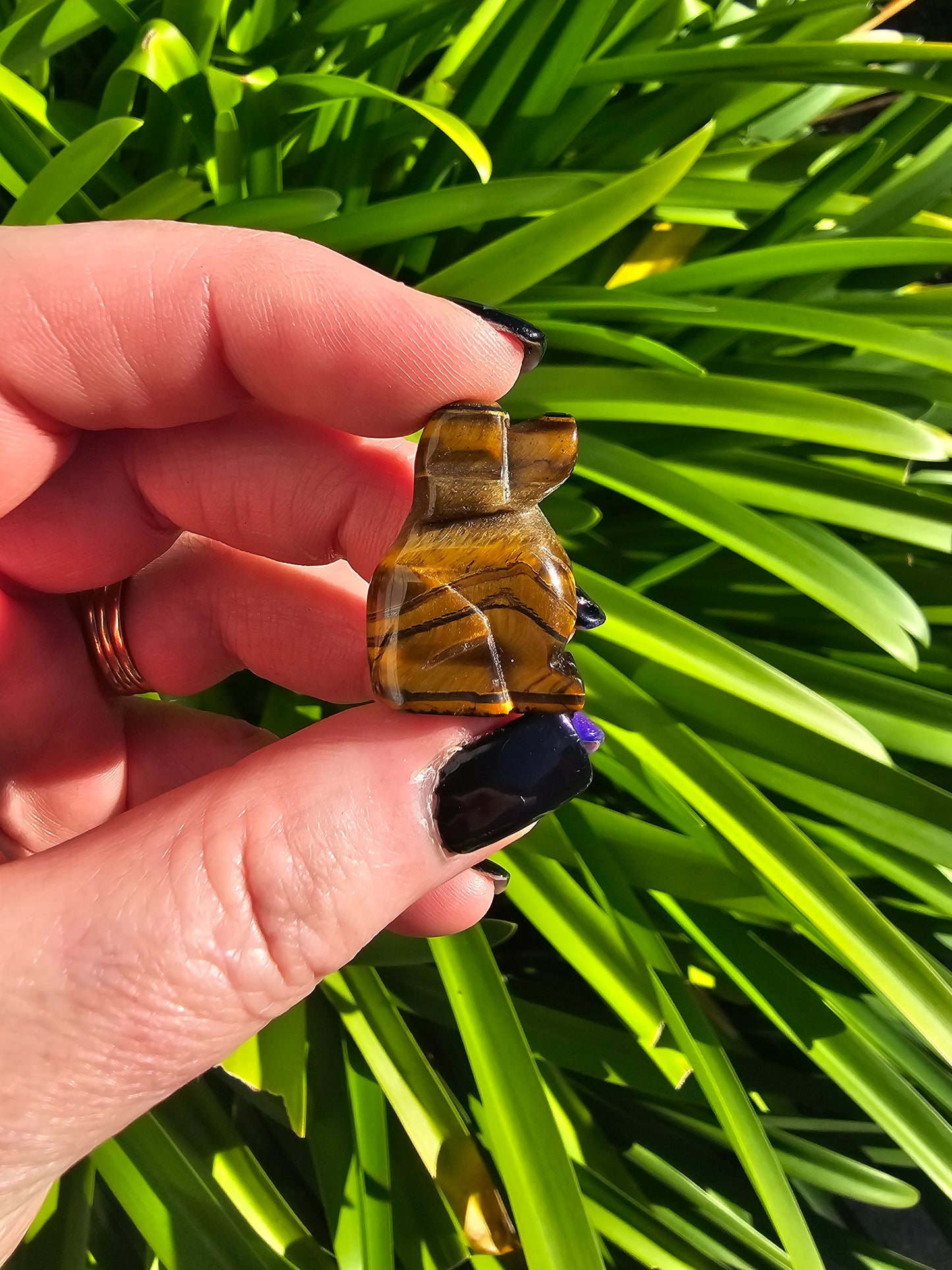 Tigers Eye Mini Dog