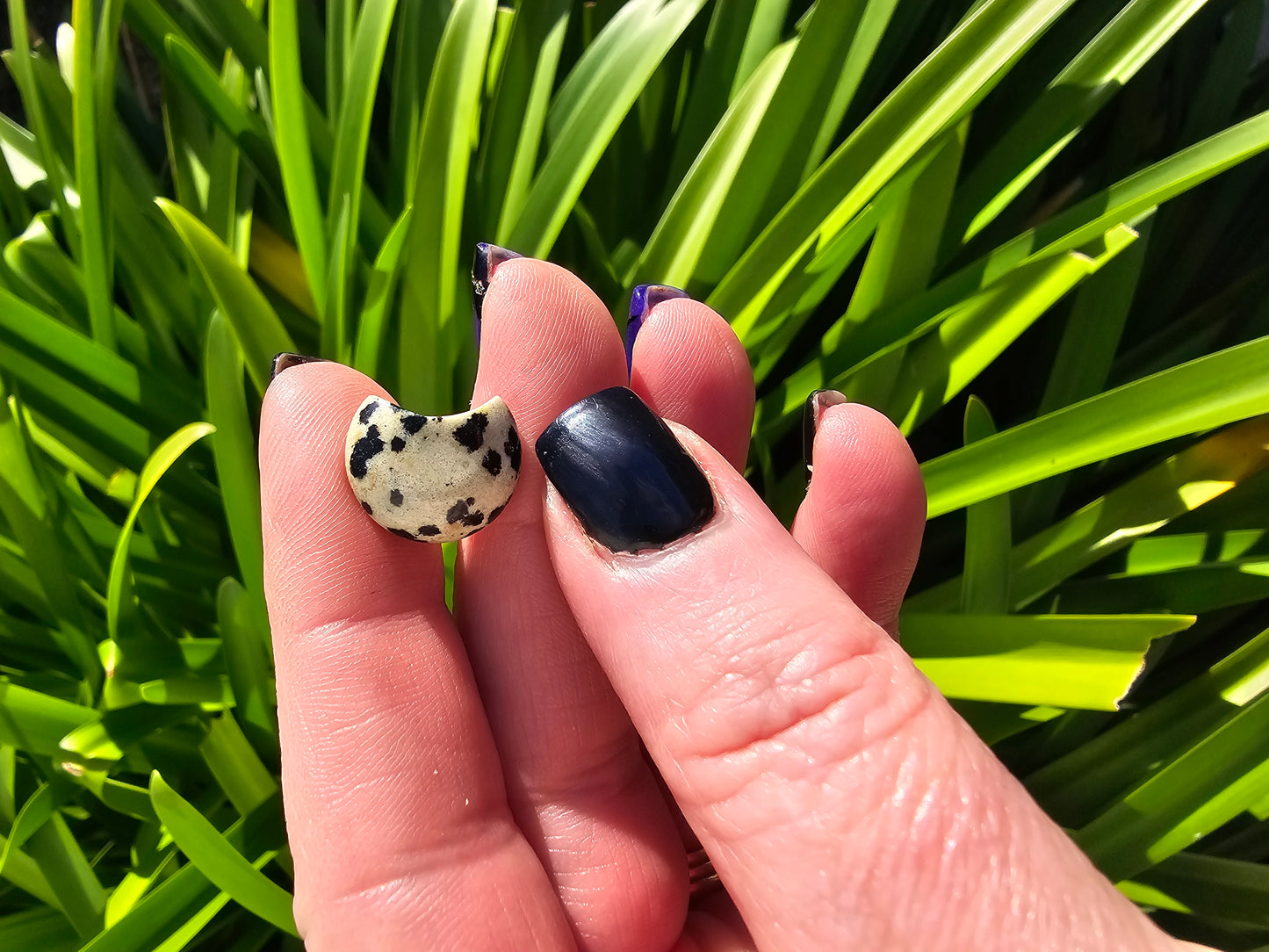 Dalmatian Jasper Mini Moon