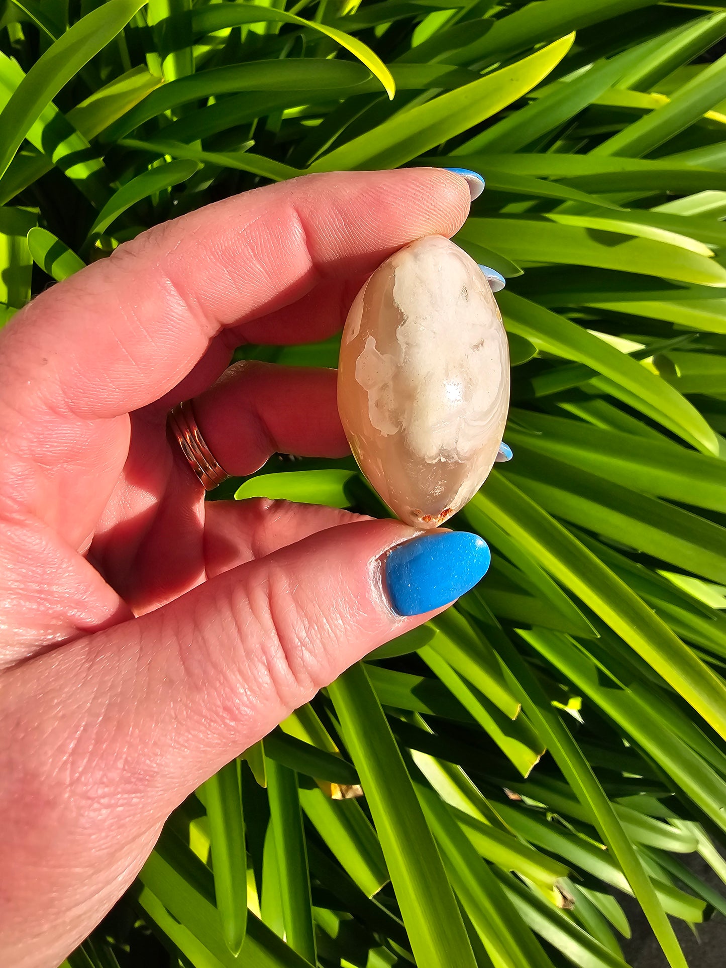 Flower Agate Palm Stone F